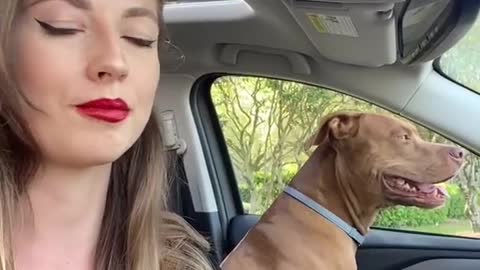 #babypleasedontgo #trend #trendy #fyp #foryou #viral #dogsoftiktok
