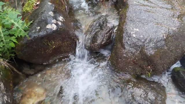 Nature Video with Nature Sound 30 SecondsNature WhatsApp Status VideoNature Background Video
