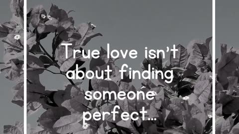 True love isn't about finding someone perfect...