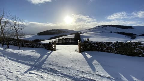 Scald Law and the Kips in snow