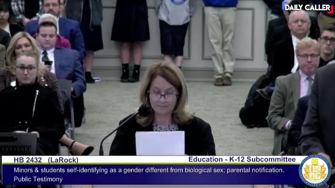 Heartbreaking and horrific story on the Trans Cult destroying a young girl’s life