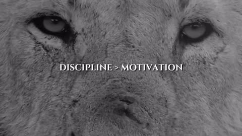 You need disciplin