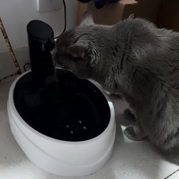 Hora da hidratação