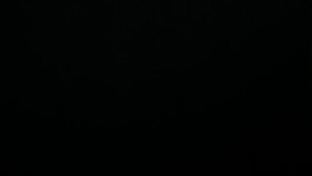 Corrupt 2020 election