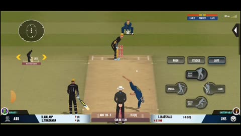 Cricket Game Video