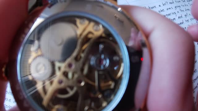 Cool View Of Gears Inside A Mechanical Watch