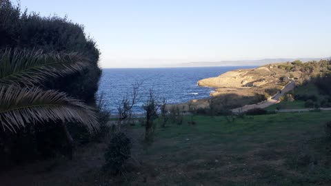 An amazing view of the sea from the park