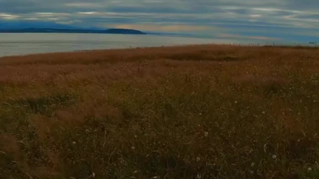 Fort Casey Historical State Park - Whidbey Island