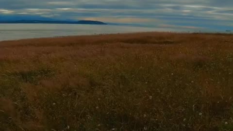 Fort Casey Historical State Park - Whidbey Island