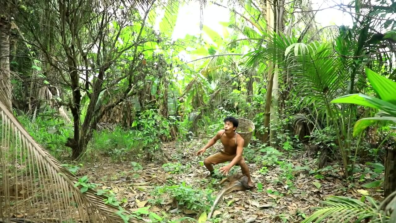 Survive in forest