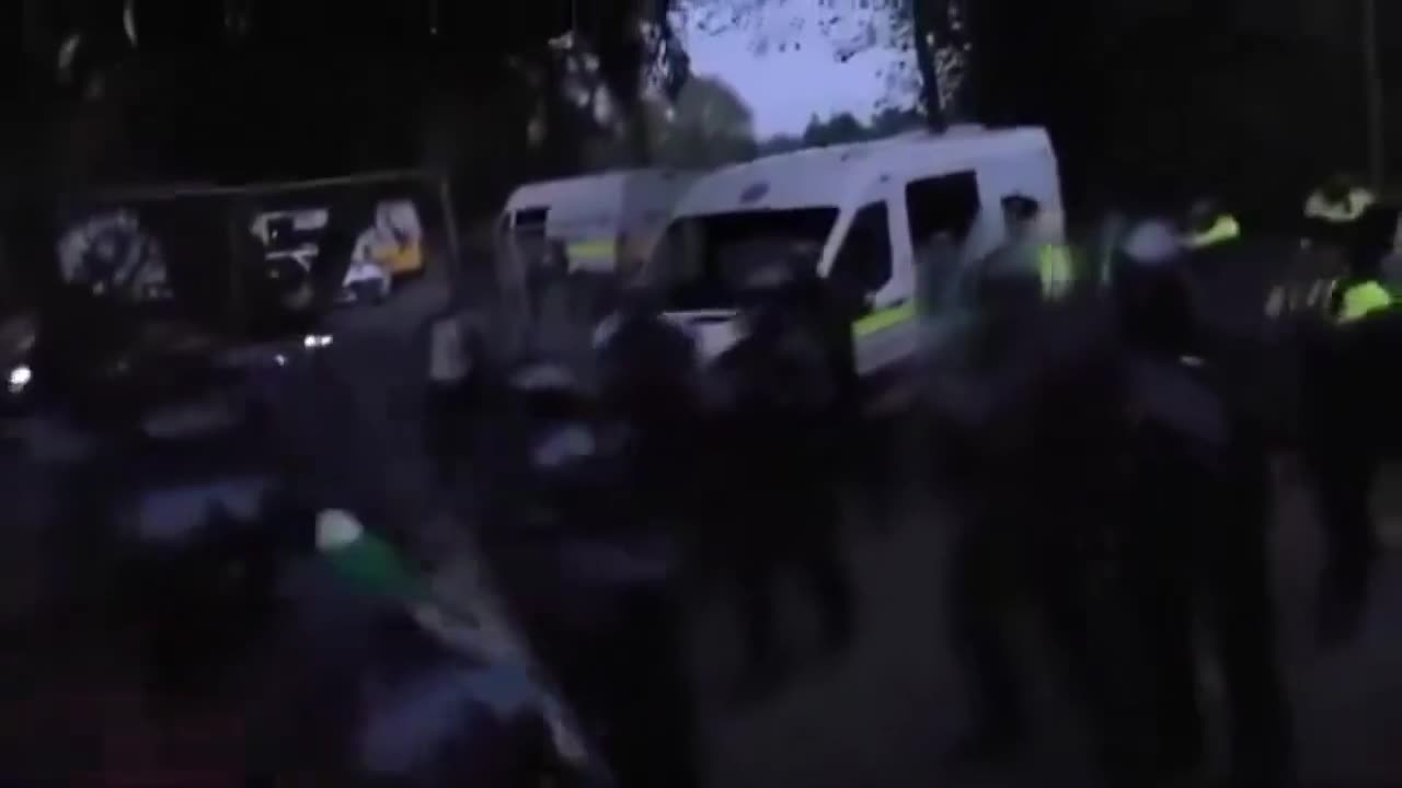 An Irish woman was beaten and pepper sprayed by state forces because she