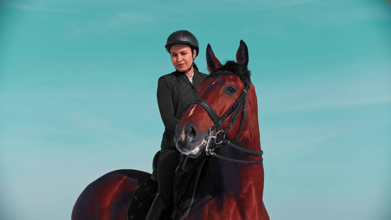 Horse riding - beautiful woman rider with a straight posture sits astride a horse