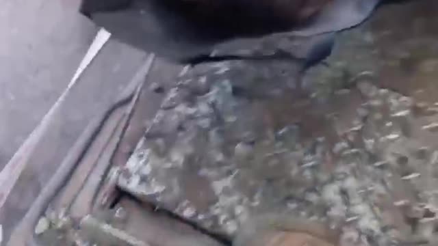 18+ This is the ugly face of War