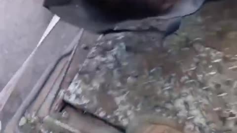 18+ This is the ugly face of War