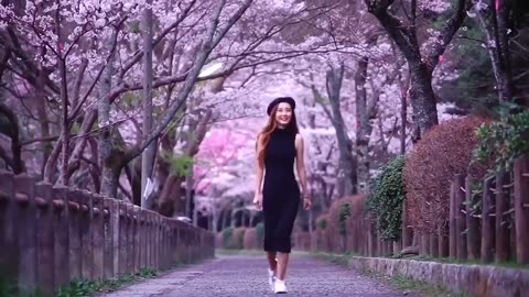 Strolling along the tree-lined path