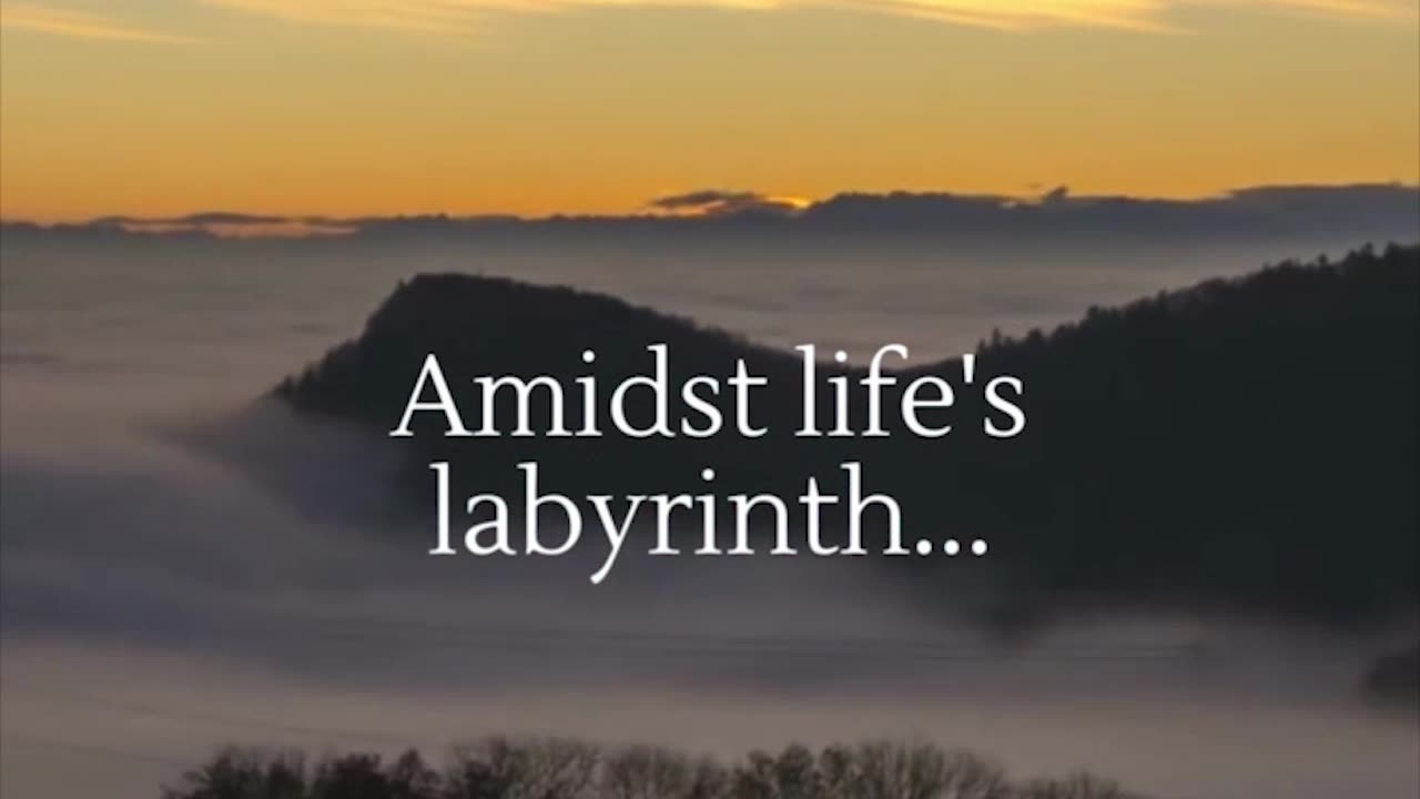 Beauty in Life's Labyrinth #Shorts #lifefacts #subscribe