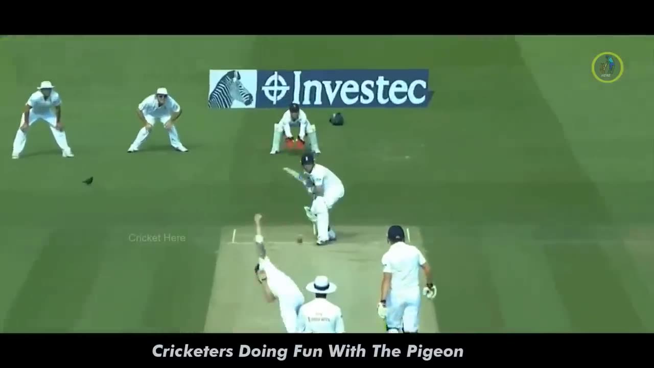 1 in a Trillion Moments in Cricket