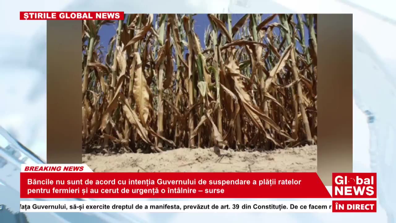 Știri (Global News România; 16.01.2024)3