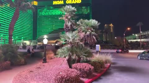 Live in Las Vegas Fremont Street and The Strip - Look at Las Vegas People