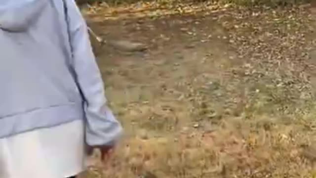 Cute and Funny Pomeranian Almost Fall _ Smart Dog _ Lovely Pet #shorts.mp4