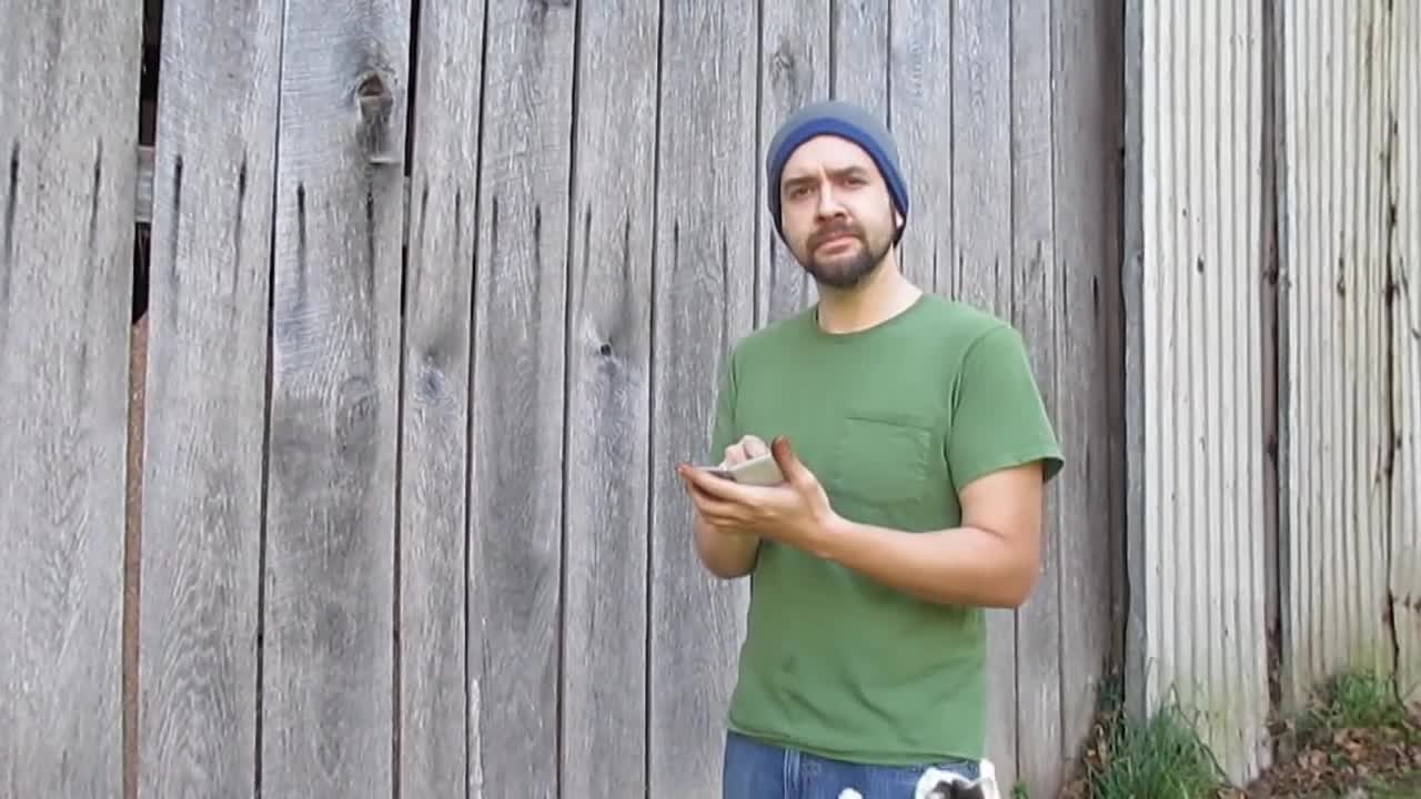 Bad kitty totally photobombs Halloween video