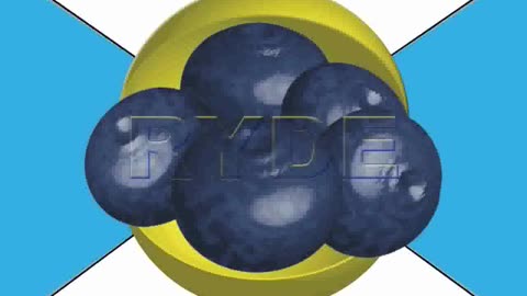 RYDE IMAGING VIDEO MICROENCODING PACMAN BLUEBERRY