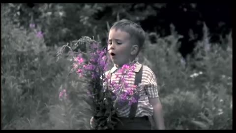 Rentun ruusu 2001 (Elokuva Irwin Goodmanista)