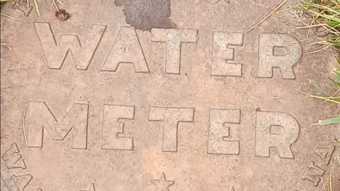 Living Water Meter