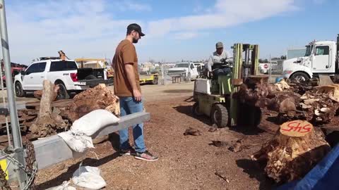 Carving a Rhino From Epoxy Resin & Walnut Burl2