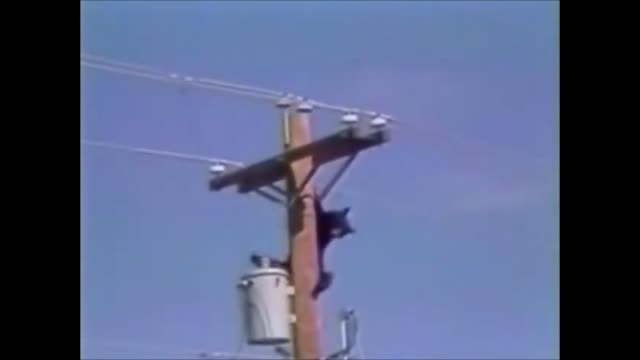 Two women fail.