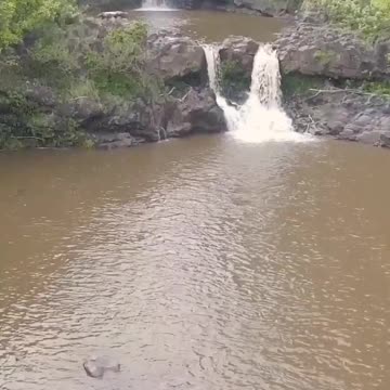 "Unveiling the Mysterious Beauty of Mother Nature"🌳