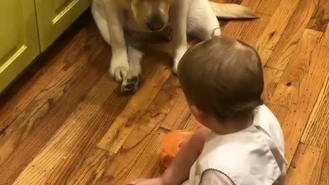 My dog brother