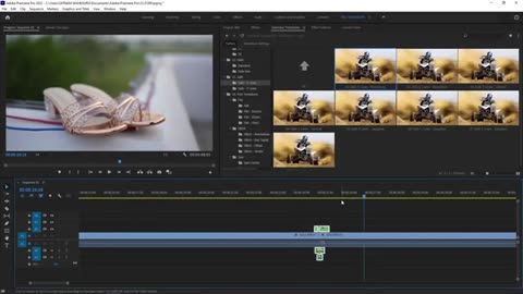Premiere pro with Sound effects Esay to Use
