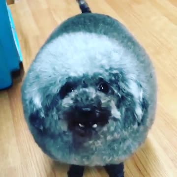 I like big fluff and I can not lie.