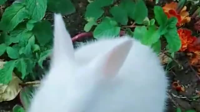 Am I cute?