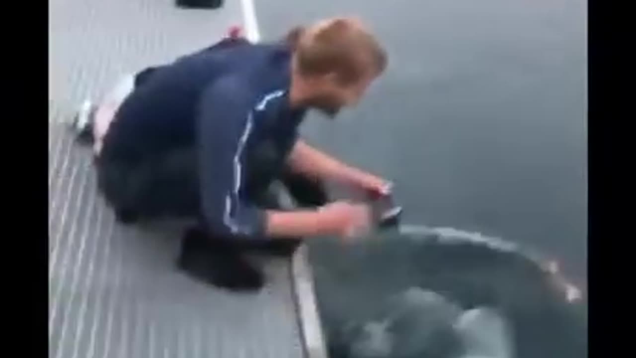 Amazing video GUY drops his phone but this beluga whale take care