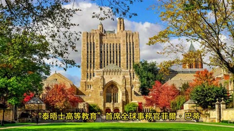 世界大學聲譽排名 美國名校囊括前三
