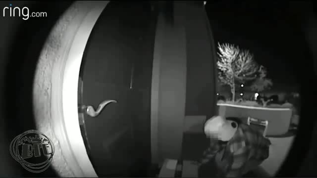 Poarch pirates caught on the act.