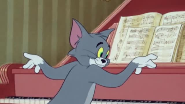 Chocolate Tom is a real boy