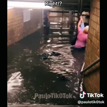 Its not a coincidence that the Simpsons predict things...