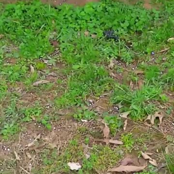 Awesome Airsoft Gameplay Rescue