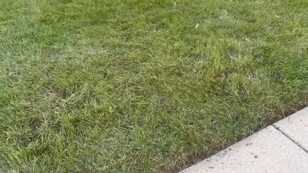 If Cleaning Was a Timed Sport. Part 2