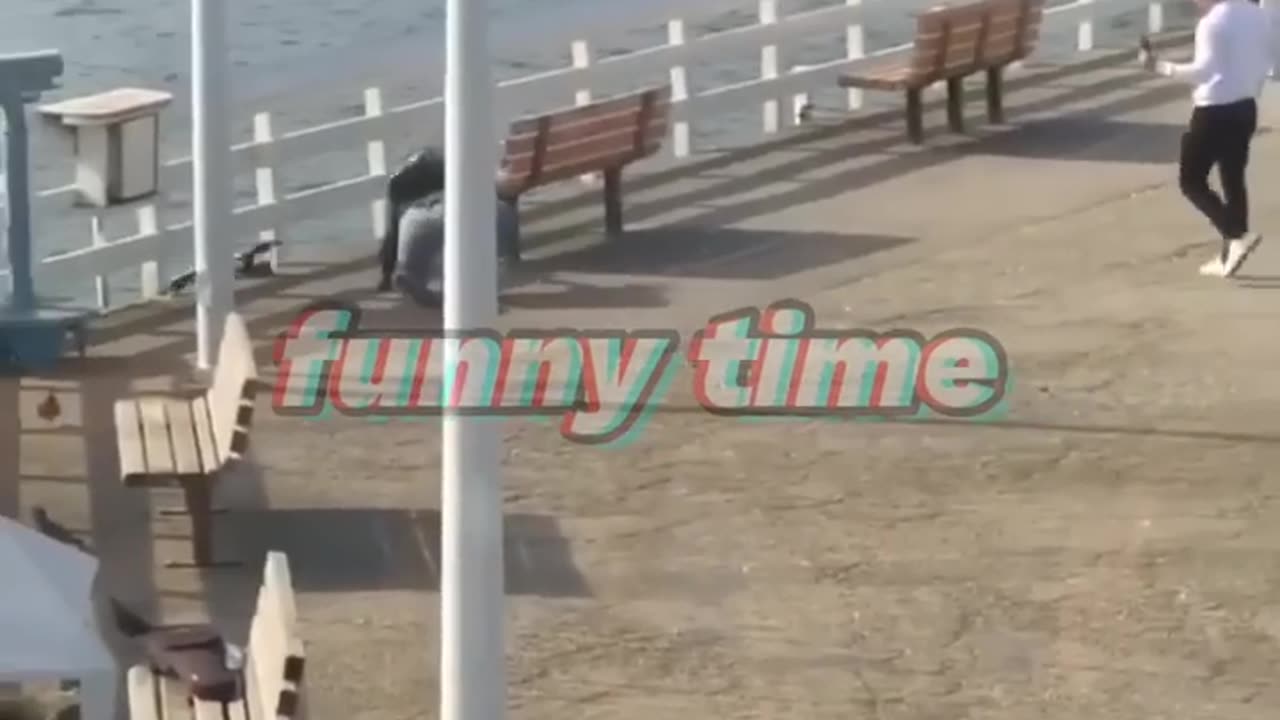 Funny moments