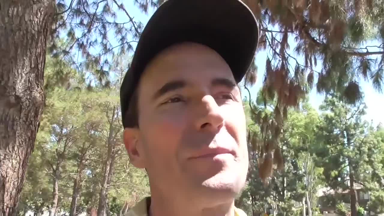 470. Demons Turned my Heart Against Allies