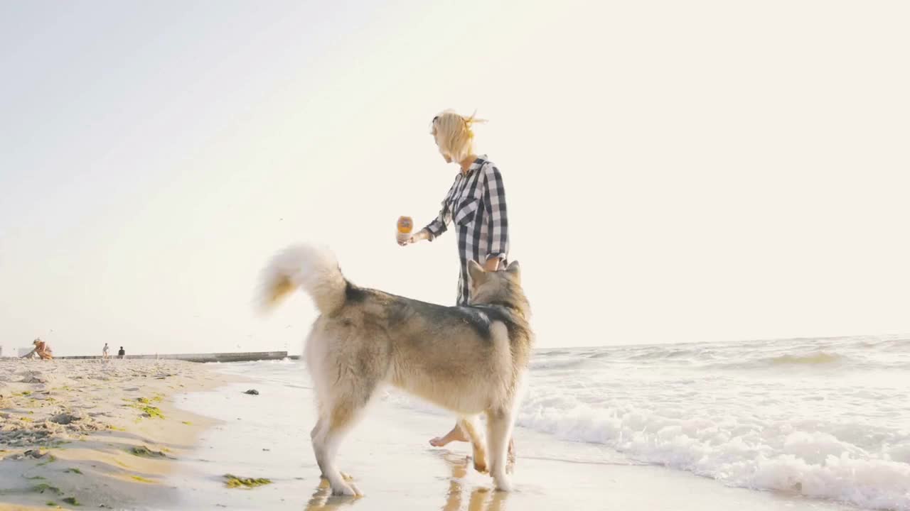 Young female playing with siberian husky dog on the beach at sunrise