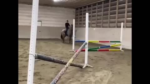 Independent Pony