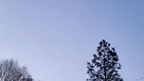 A good day to be a bird.