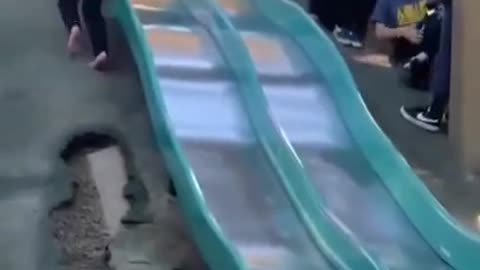 This Dog is Cool With Kids #shorts #viral #shortsvideo #video