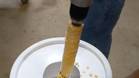 Freeze sweetcorn FAST - cut and process using a drill
