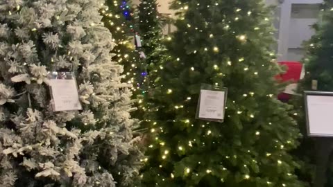 A jumpscare for Christmas